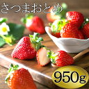 【ふるさと納税】鹿児島生まれのブランドいちご【さつまおとめ】