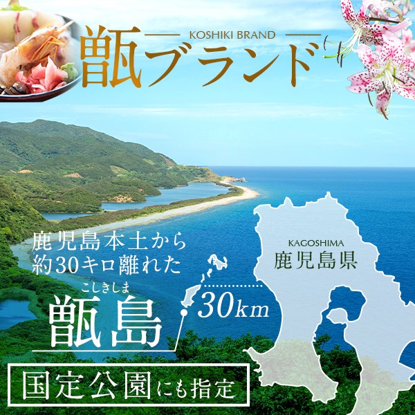 【ふるさと納税】こしき島椿油 スターターセット AS-065 こしき島椿油 30ml×2本と椿バスエッセンス ×2個 こしき島椿油 つばき ツバキ ヤブツバキ 藪椿 国産 九州産 鹿児島県産 鹿児島産 甑島産 下甑島産 鹿児島県 薩摩川内市 送料無料 青瀬地区コミュニティ協議会