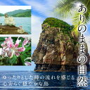 【ふるさと納税】甑島の地魚つけあげ(さつま揚げ) 4種41枚 詰め合わせセット 薩摩揚げ さつま揚げ さつまあげ かまぼこ 詰合せ 惣菜 甑島 上甑島 東シナ海 鹿児島 ギフト プレゼント 母の日 父の日 敬老の日 お中元 お歳暮 薩摩川内市 庵地つけあげ店