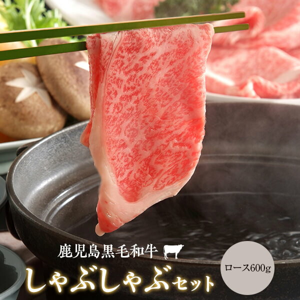 【ふるさと納税】鹿児島県産黒毛和牛しゃぶしゃぶ 600g Bセット 名産鹿児島和牛かんだ本店 神田畜産 A5 しゃぶ 牛肉 牛 鹿児島 和牛 ロース 手作り ギフト プレゼント お中元 お歳暮 薩摩川内市 川内市 川内 ふるさと 納税