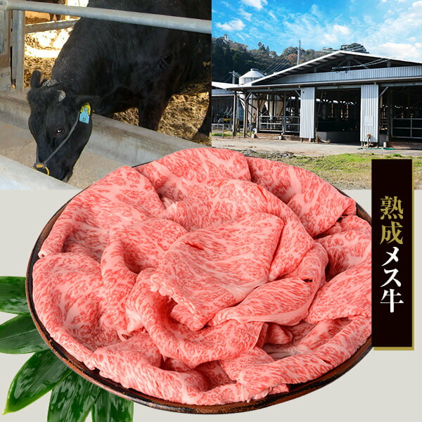 【ふるさと納税】鹿児島県産黒毛和牛 すき焼き 800g Bセット ロース もも肉 カタ 名産鹿児島和牛かんだ本店 神田畜産 A5 牛 牛肉 肉 すき焼き 和牛 手作り 鹿児島 ギフト プレゼント お中元 お歳暮 薩摩川内市 川内市 川内 ふるさと 納税