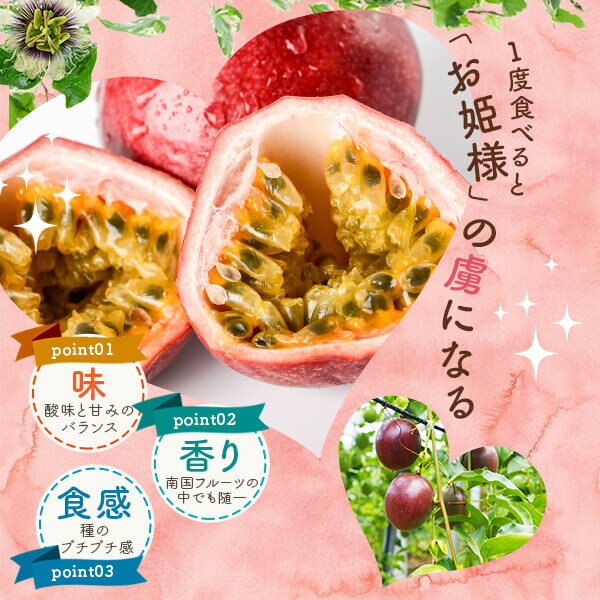 【ふるさと納税】【2026年先行予約】パッションフルーツ青果贈答品 L・LL玉8～10個入り こしき姫 期間限定 数量限定 パッションフルーツ トロピカルフルーツ 美味しい 人気 甘酸っぱい 南国フルーツ 旬の果物 季節のフルーツ 果物 鹿児島県 薩摩川内市 送料無料 AS-495