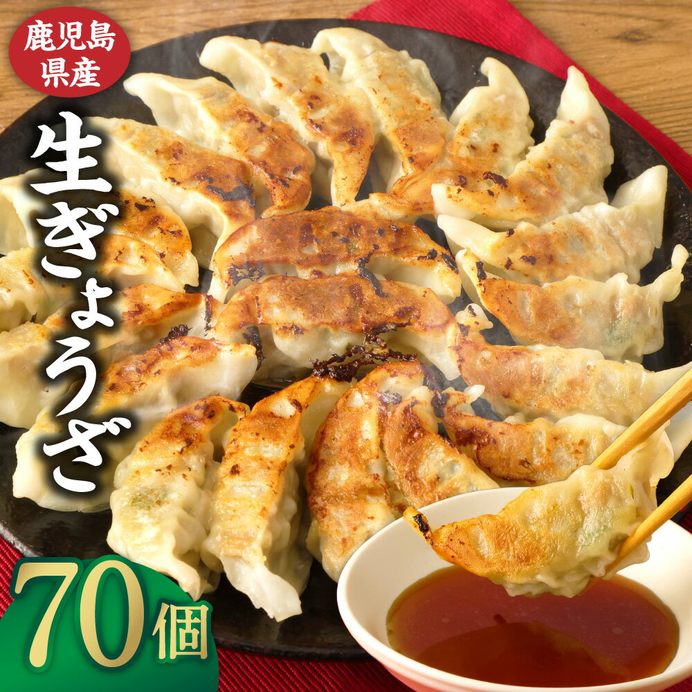 【ふるさと納税】 鹿児島生ぎょうざ 70個（10個入 × 7パック） 餃子のタレ1本入り 味処まるしょう お...