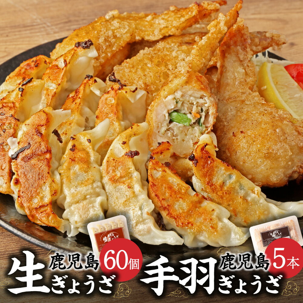 【ふるさと納税】鹿児島生ぎょうざ60個(10個入×6パック)