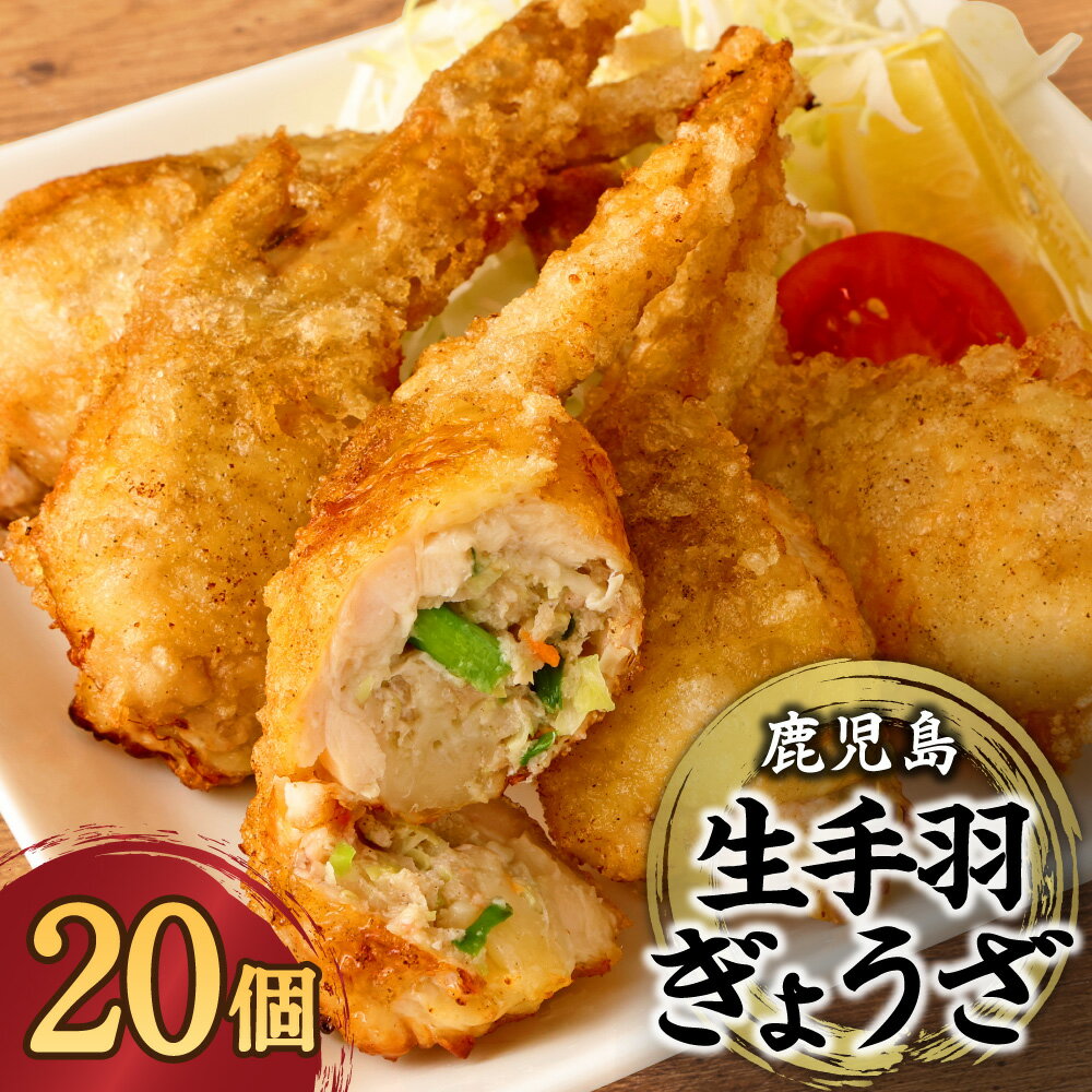 【ふるさと納税】鹿児島手羽ぎょうざ 20本 餃子のタレ1本付き まるしょう 手羽餃子 手羽先餃子 ぎょうざ ギョーザ 鹿児島 ギフト プレゼント お中元 お歳暮 ふるさと 納税 冷凍 送料無料 お肉のまるしょう 味処まるしょう