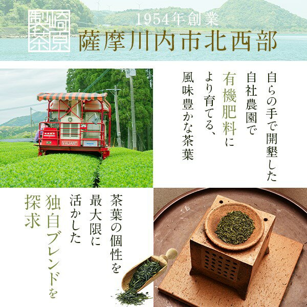 【ふるさと納税】 お茶 ティーパック 崎原製茶 オリジナル3種セット1 茶葉 ティーバッグ 煎茶 ほうじ茶 紅茶 飲み比べ パック 鹿児島 ギフト プレゼント 母の日 父の日 敬老の日 お中元 お歳暮 薩摩川内市 ふるさと 納税