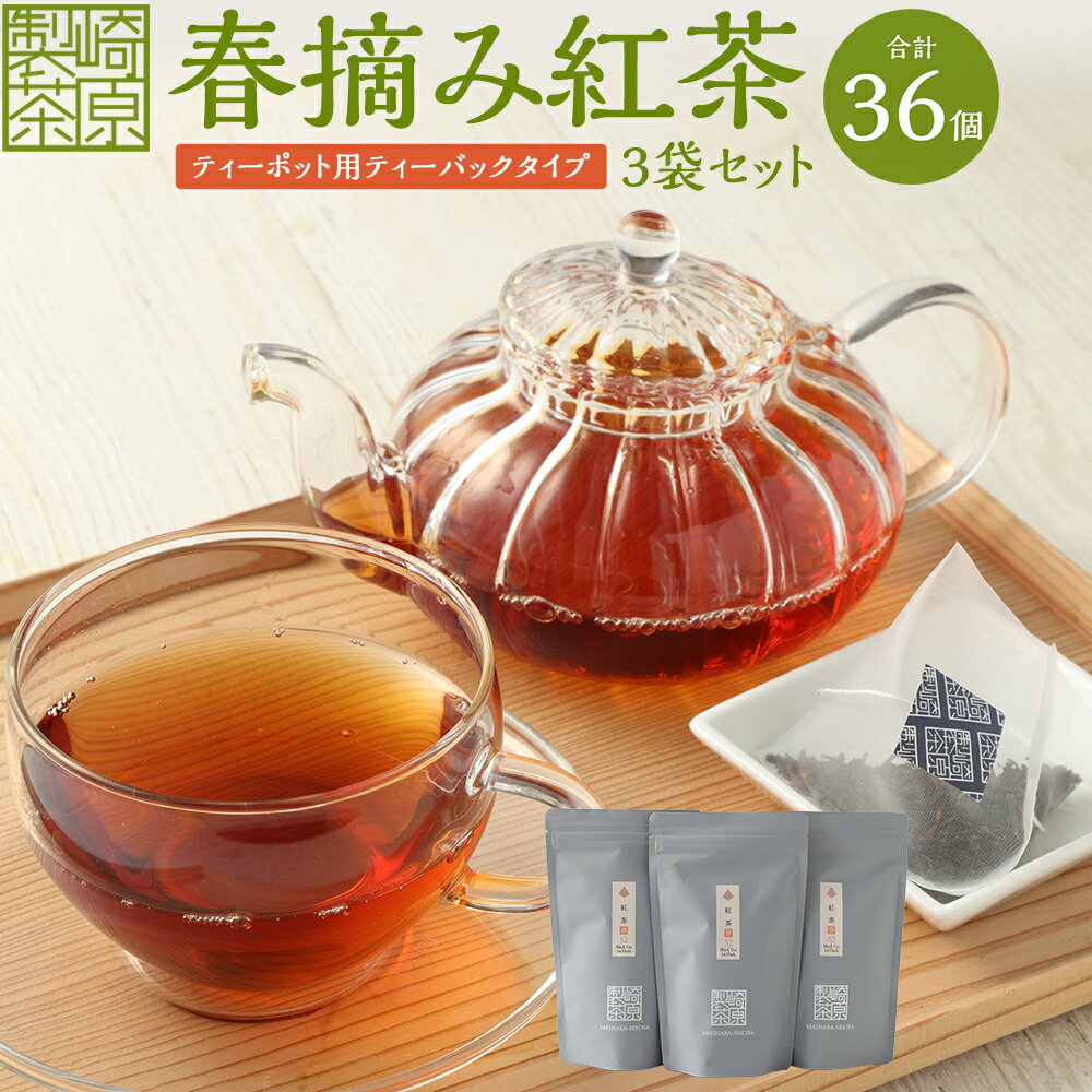 春摘み紅茶 3袋セット（ティーポット用 ティーバックタイプ）（1袋 6g×12パック）計36パック 紅茶 茶葉 香り すっきり アイスティー ホットティー ティーバッグ 飲料 お取り寄せ 国産 鹿児島県 薩摩川内市 送料無料