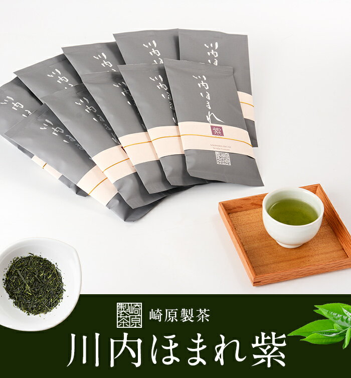 崎原製茶 川内ほまれ 紫 煎茶 合計1kg 合計1000g (100g×10パック) FS-406 お茶 緑茶 茶葉 ティータイム 崎原製茶 鹿児島県 薩摩川内市 送料無料