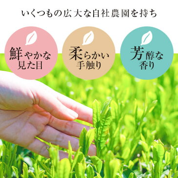 【ふるさと納税】 和紅茶 茶葉 笹野製茶 紅茶 ティーバッグ リーフ セット ティーパック 紅茶パック お茶 べにふうき 鹿児島 ギフト プレゼント お中元 お歳暮 薩摩川内市 ふるさと 納税