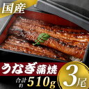 【ふるさと納税】 九州産うなぎ蒲焼3尾 約170g×3尾 合