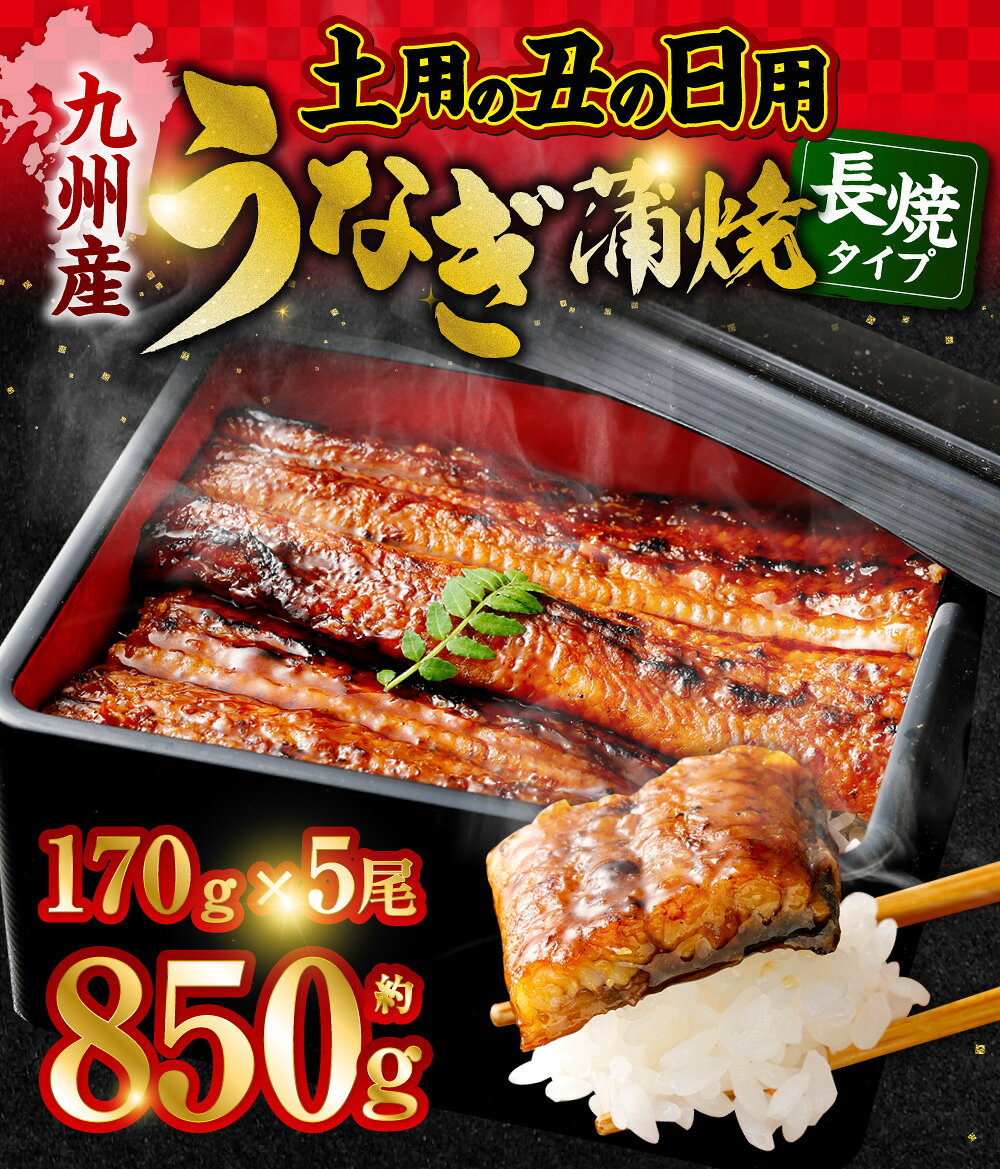 【ふるさと納税】【数量限定】先行予約 土用 の 丑の日 用 九州産 うなぎ蒲焼 計約850g（約170g×5尾 ）【2026年7月発送】 うなぎ 蒲焼き うなぎ 無頭 蒲焼き タレ付き 薩摩川内うなぎ 蒲焼 うなぎ蒲焼 冷凍 鹿児島 国産 鰻 ウナギ 薩摩川内市 ふるさと納税