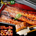 【ふるさと納税】 【配送月が選べる!】 九州産うなぎ蒲焼 約170g×5尾 うなぎ 蒲焼き うなぎ 無頭 蒲焼き タレ付き 薩摩川内うなぎ 薩摩川内鰻 蒲焼 う...