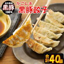 【ふるさと納税】 かごしま黒豚餃子 20個×2箱 (計40個) みかく亭 薩摩八重ファーム 鹿児島黒豚 鹿児島県産黒豚 鹿児島産黒豚 六白黒豚 バークシャー 餃...