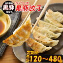 【ふるさと納税】【定期便】かごしま黒豚餃子 合計120〜480個 毎月 隔月 餃子 黒豚餃子 黒豚 豚肉 豚 肉 国産 父の日 母の日 父 母 ギフト お祝い ...