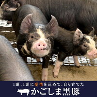 【ふるさと納税】肉豚肉豚ロース黒豚ロース味噌漬け100g×7枚セットステーキステーキ肉麹鹿児島八重ファームふるさと納税お歳暮ギフトプレゼント