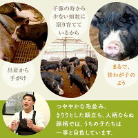 【ふるさと納税】肉豚肉豚ロース黒豚ロース味噌漬け100g×7枚セットステーキステーキ肉麹鹿児島八重ファームふるさと納税お歳暮ギフトプレゼント