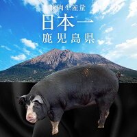 【ふるさと納税】肉豚肉豚ロース黒豚ロース味噌漬け100g×7枚セットステーキステーキ肉麹鹿児島八重ファームふるさと納税お歳暮ギフトプレゼント