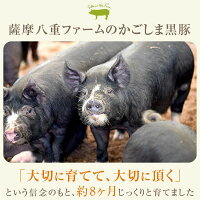 【ふるさと納税】肉豚肉豚ロース黒豚ロース味噌漬け100g×7枚セットステーキステーキ肉麹鹿児島八重ファームふるさと納税お歳暮ギフトプレゼント