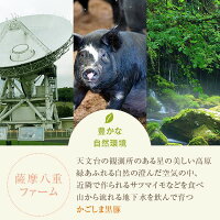 【ふるさと納税】肉豚肉豚ロース黒豚ロース味噌漬け100g×7枚セットステーキステーキ肉麹鹿児島八重ファームふるさと納税お歳暮ギフトプレゼント