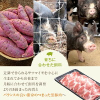 【ふるさと納税】肉豚肉豚ロース黒豚ロース味噌漬け100g×7枚セットステーキステーキ肉麹鹿児島八重ファームふるさと納税お歳暮ギフトプレゼント