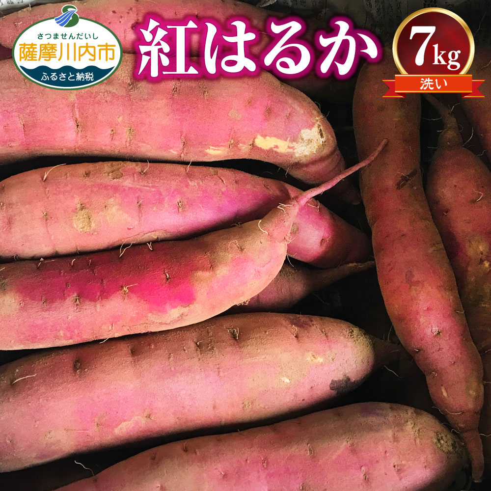 【ふるさと納税】【訳あり】2025年明け発送 ママたちの想いをギュッ！薩摩で育てたさつまいも（紅はるか）洗い 規格…