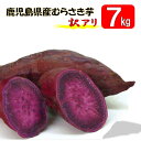 【ふるさと納税】【先行予約】【訳アリ】鹿児島県産紫芋 7kg ZS-942 吉永農園 焼芋 芋 イモ 野菜 焼き芋 サツマイモ 食卓 食物繊維 彩 お弁当 お手軽 スイーツ お菓子 アイス シャーベット 安納芋 さつまいも おやつ 菓子 さつまいも 数量限定 鹿児島県 薩摩川内市 送料無料