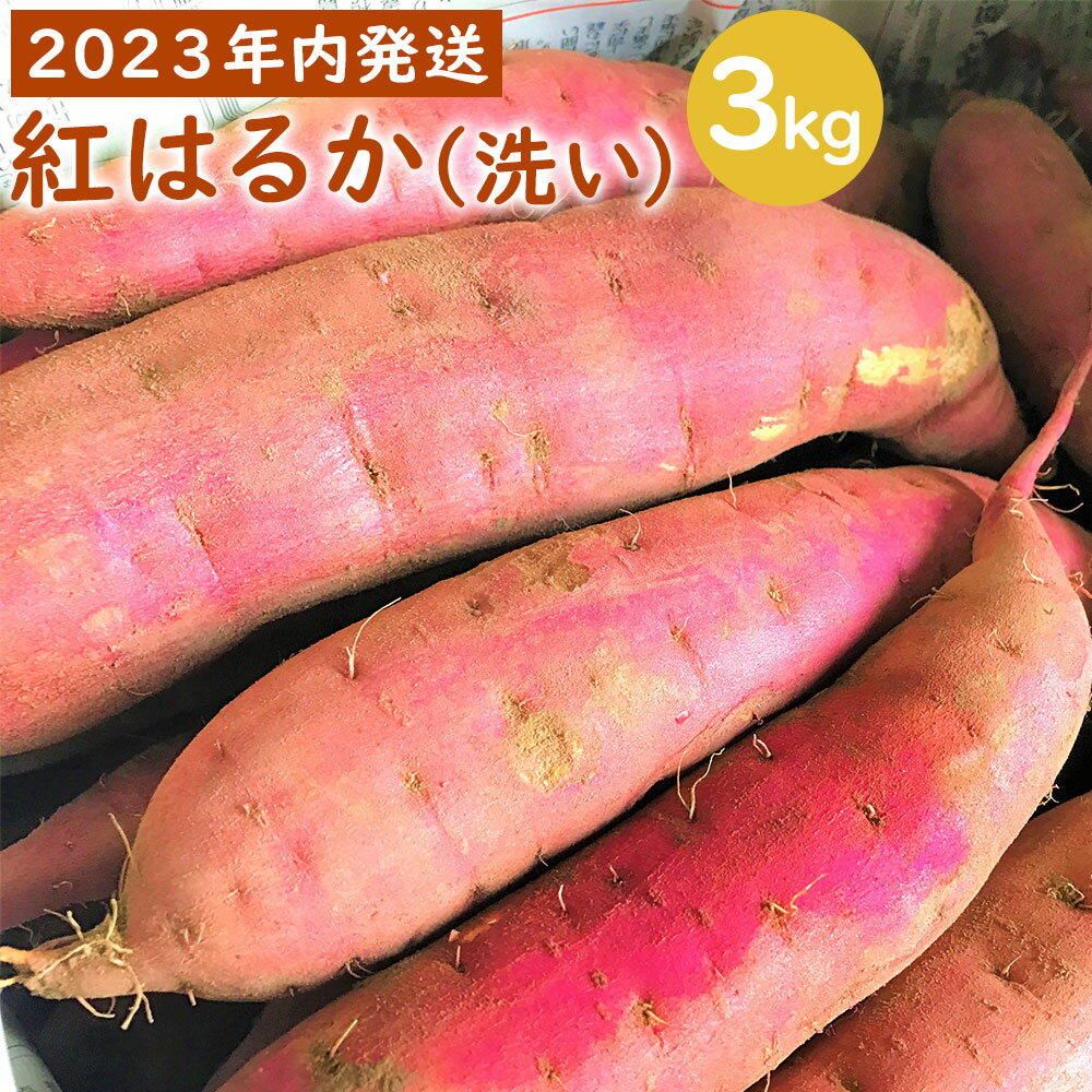 [2024年内発送][農家直送]ママたちの想いをギュッ!薩摩で育てたさつまいも(紅はるか)洗い 3kg 小 紅はるか 熟成 蜜芋 お試しサイズ 3kg 焼き芋 小さめサイズ さつまいも サツマイモ 薩摩芋 芋 吉永農園 鹿児島県 薩摩川内市 送料無料