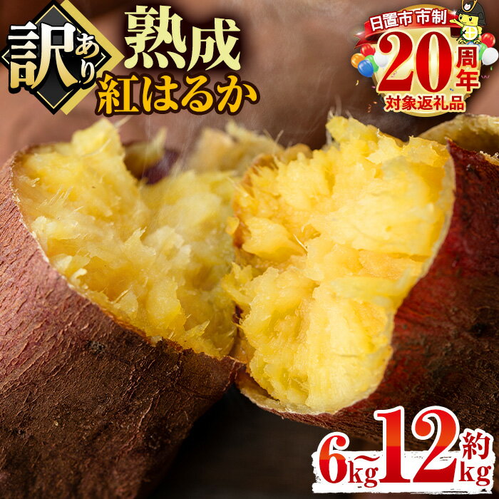 【ふるさと納税】＜容量選べる！＞訳あり・不揃い！鹿児島県日置市産さつまいも！熟成紅はるか(約6kg～約12kg) 国産 九州産 サツマイモ さつま芋 訳アリ 紅春香 熟成 芋 焼き芋 やきいも 野菜 スイーツ 常温 常温保存 期間限定 市制20周年【末永商店】のサムネイル