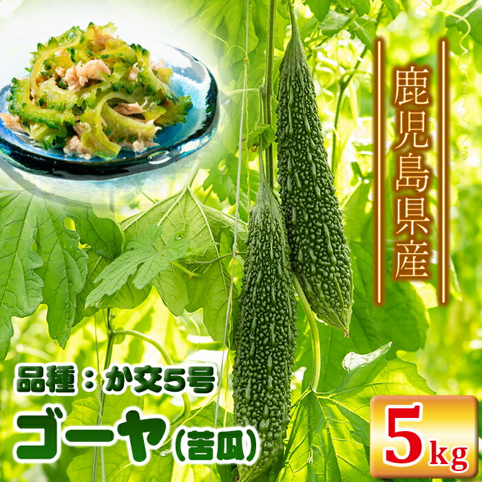 《期間限定》ゴーヤ(苦瓜)「か交5号」(計5kg) 国産 九州産 鹿児島県産 野菜 やさい ゴーヤ 苦瓜 ニガウリ 料理 産地直送 漬物 炒め物 小分け セット【永野秀美】