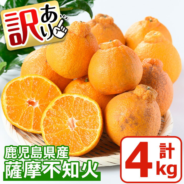 【ふるさと納税】<先行予約受付中!2026年1月中旬〜2月下旬までの間に発送>《訳あり!期間・数量限定》鹿児島県産!薩摩不知火(4kg) みかん ミカン 蜜柑 ...