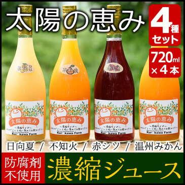 【ふるさと納税】太陽の恵み 濃縮ジュース4本セット 不知火 日向夏 温州みかん 赤シソ【黒川農園】