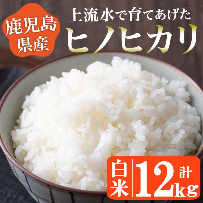 【ふるさと納税】鹿児島県産！ヒノヒカリ白米(12kg)山の大地から湧き出る上流水で育てあげた【大潟屋】