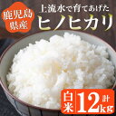 人気ランキング第30位「鹿児島県日置市」口コミ数「0件」評価「0」《令和5年産！》鹿児島県産！ヒノヒカリ白米(12kg)米 お米 白米 ごはん 小分け【大潟屋】