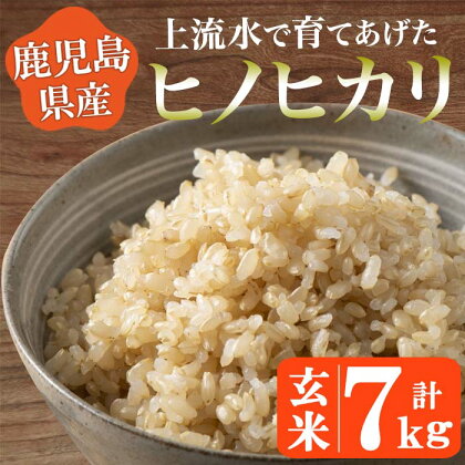 《令和5年産！》鹿児島県産！ヒノヒカリ玄米(7kg)米 お米 玄米 ごはん 小分け【大潟屋】