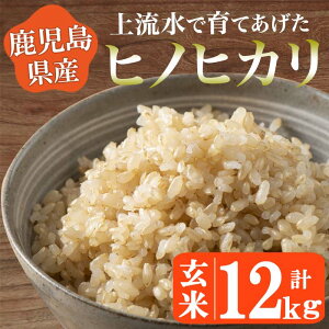 【ふるさと納税】鹿児島県産！ヒノヒカリ玄米(12kg)山の大地から湧き出る上流水で育てあげた玄米【大潟屋】