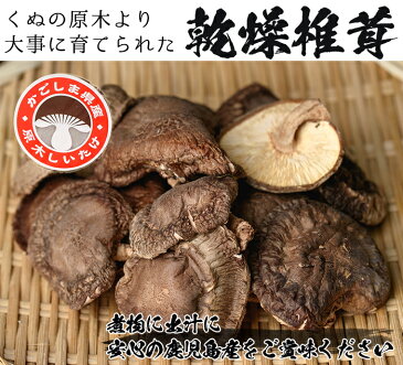 【ふるさと納税】鹿児島県東市来で育てられた！大容量の乾燥椎茸 540g(60g×9袋)【こけけ特産品販売所】