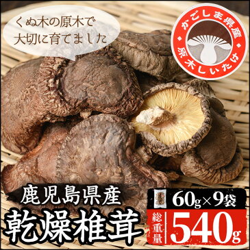 【ふるさと納税】鹿児島県東市来で育てられた！大容量の乾燥椎茸 540g(60g×9袋)【こけけ特産品販売所】