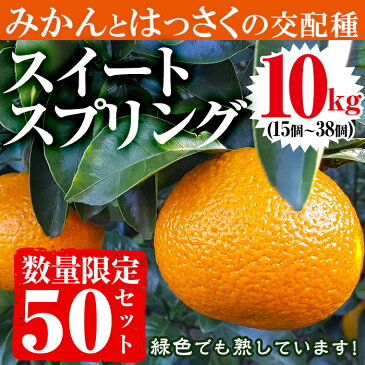 【ふるさと納税】【数量限定】柑橘のスイートスプリング(10kg)みかんとはっさくの交配種!驚きの甘さ!【つとむじぃグレープの森】