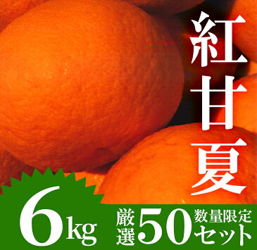 【ふるさと納税】【数量限定】柑橘の甘夏(あまなつ)(6kg)初夏の香り甘さ!爽やかなミカン!【つとむじぃグレープの森】