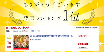 【ふるさと納税】10種類さつま揚げ詰合せ＜八重＞(10種34枚)本場鹿児島の薩摩揚げ！真空パックで長期保存で小分けパック！ギフトや贈答にも！【玖子貴】