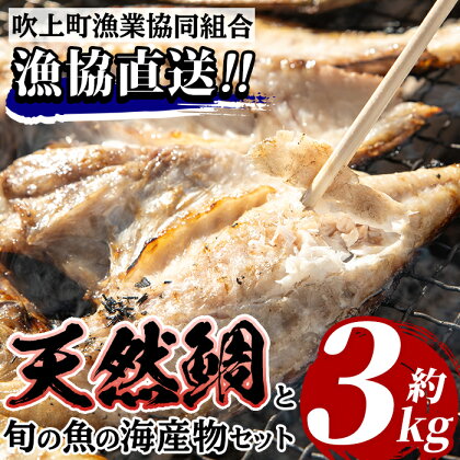 海産物セット 天然鯛！タイと旬の魚の干物・旬の魚の竜田揚げの素セット(干物6尾以上・竜田揚げの素1袋・計約3.0kg)干物 竜田揚げ タイ 鯛 たい 魚貝類 魚 海産物 セット 冷凍 真空パック 詰め合わせ【吹上町漁協】