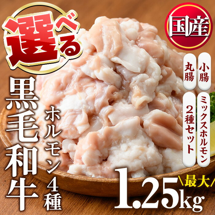 【ふるさと納税】＜4種から選べる＞国産 黒毛和牛ホルモン ミックスホルモン計1.25kg/上ホルモン計1.2kg/丸腸計1.08kg/ミックスホルモン＋小腸合計1.15kg 国産 九州産 牛肉 黒毛和牛 和牛 ホル…