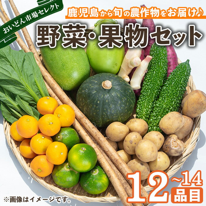 【ふるさと納税】旬鮮野菜と果物詰め合わせセット(12~14品目)国産 九州産 鹿児島県産 やさい 果物 くだもの フルーツ おかず 詰め合せ 栄養満点 家庭 家庭用 お楽しみ セット 旬 JA おいどん市場【鹿児島県経済農業協同組合連合会】