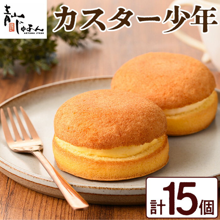 15位! 口コミ数「1件」評価「5」カスター少年(15個入) 鹿児島 日置市 特産品 お菓子 洋菓子 菓子 おかし スイーツ おやつ カスタード クリーム 冷凍 冷凍配送 ギフ･･･ 