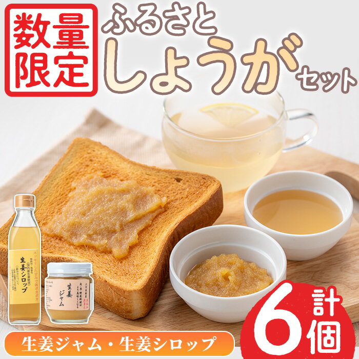 【ふるさと納税】＜数量限定＞ふるさと生姜セット！生姜シロップ(300ml×3個)・生姜ジャム(190g×3個) シ..