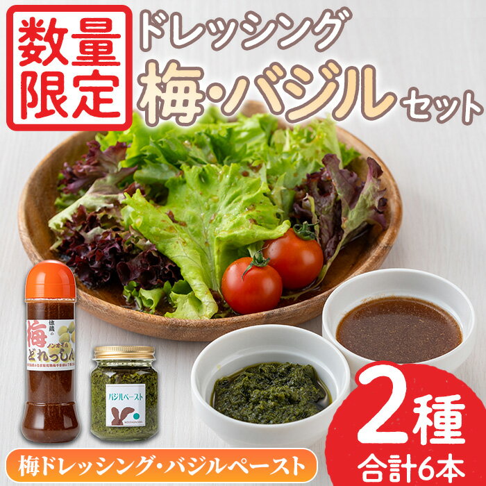 【ふるさと納税】＜数量限定＞ドレッシングセット！梅ドレッシング(300ml×5)・バジルペースト(120g×1) 無添加 手作り サラダ パスタ お肉料理 うめ 梅肉 調味料 ピザ【日置市観光協会】