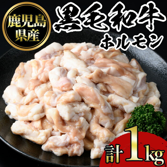 鹿児島黒毛和牛ホルモン(500g×2P・計1kg) 国産 九州産 鹿児島県産 牛肉 黒毛和牛 和牛 お肉 おかず 焼き肉 ホルモン 小腸 冷凍[NBフード]