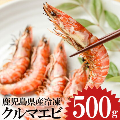 鹿児島県産 冷凍クルマエビ 500g 計20尾 (25g×10尾×2パック) 国産 九州産 鹿児島 日置市 特産品 特産 車海老 くるまえび 活き車えび 車えび 海鮮 魚介【ヒガシマル】