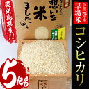 【ふるさと納税】国産!お米 令和元年度産 鹿児島県産早場米コ...
