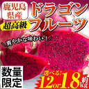 【ふるさと納税】《数量・期間限定》選べる!鹿児島県産 ドラゴンフルーツ(1.2kg/1.8kg) 国産 鹿児島 日置市 産地直送 スイーツ デザート 果実 果物 くだもの フルーツ 栽培期間中 農薬不使用 無農薬 贈り物 贈答品【はまうえ果樹園】